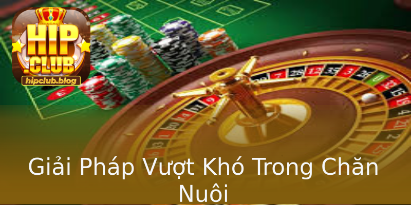Giải Pháp Vượt Khó Trong Chăn Nuôi Giải Pháp Vượt Khó Trong Chăn Nuôi
