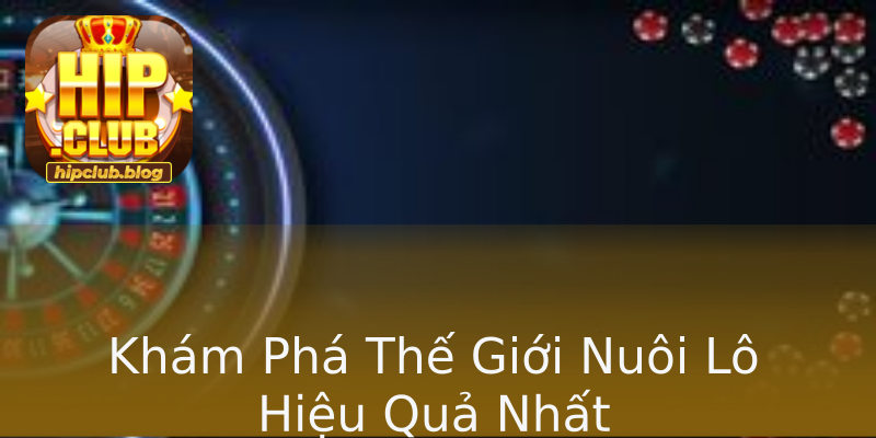 Khám Phá Thế Giới Nuôi Lô Hiệu Quả Nhất Khám Phá Thế Giới Nuôi Lô Hiệu Quả Nhất