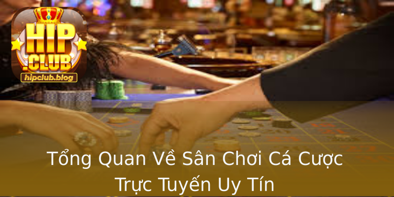 Tổng Quan Về Sân Chơi Cá Cược Trực Tuyến Uy Tín Tổng Quan Về Sân Chơi Cá Cược Trực Tuyến Uy Tín
